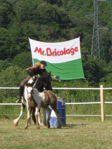 Seconde démonstration équestre